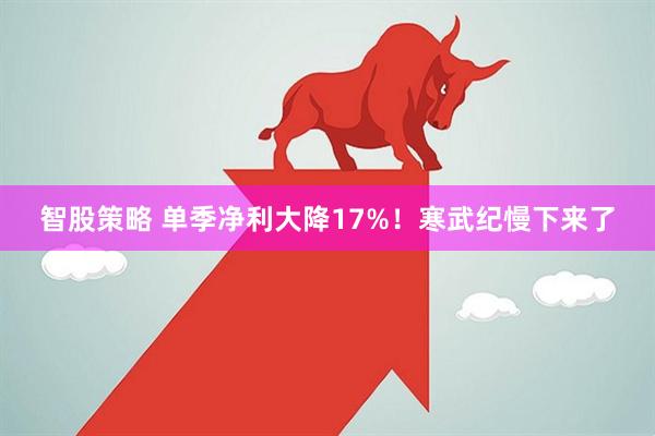 智股策略 单季净利大降17%！寒武纪慢下来了