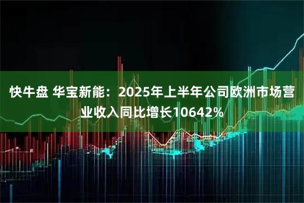 快牛盘 华宝新能：2025年上半年公司欧洲市场营业收入同比增长10642%