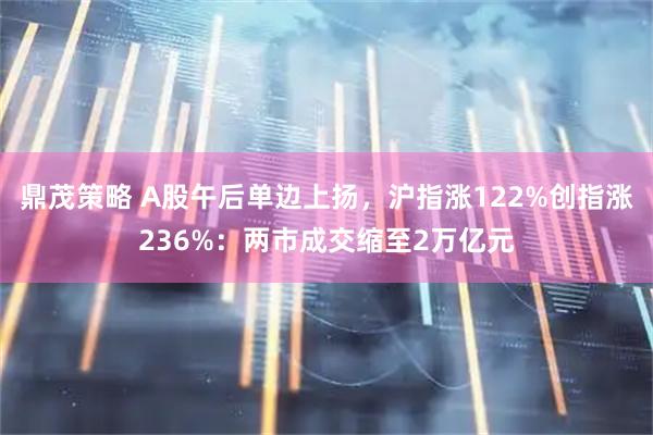 鼎茂策略 A股午后单边上扬,沪指涨122%创指涨236%:两市成交缩至2万亿元