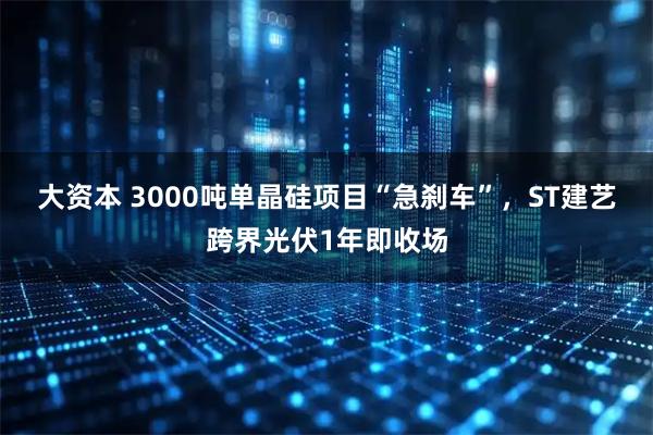 大资本 3000吨单晶硅项目“急刹车”，ST建艺跨界光伏1年即收场
