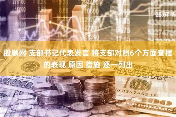 股顺网 支部书记代表发言 将支部对照6个方面查摆的表现 原因 措施 逐一列出