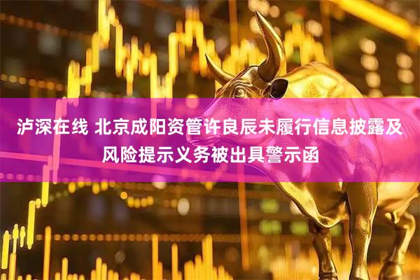 泸深在线 北京成阳资管许良辰未履行信息披露及风险提示义务被出具警示函