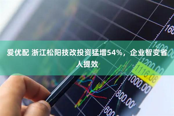 爱优配 浙江松阳技改投资猛增54%，企业智变省人提效