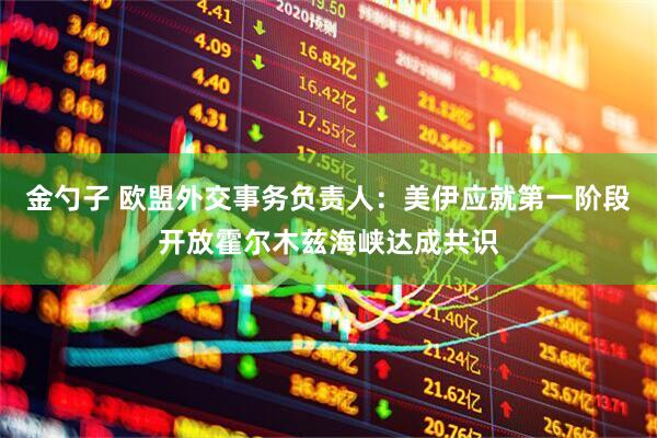 金勺子 欧盟外交事务负责人：美伊应就第一阶段开放霍尔木兹海峡达成共识
